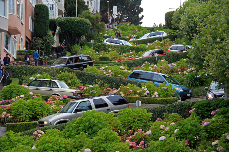 Picture 10 of Cars crawling on the world's most winding street