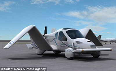 Picture 1 of Cars 'penguin wings spread'