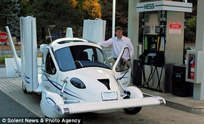 Picture 2 of Cars 'penguin wings spread'