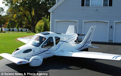 Picture 3 of Cars 'penguin wings spread'