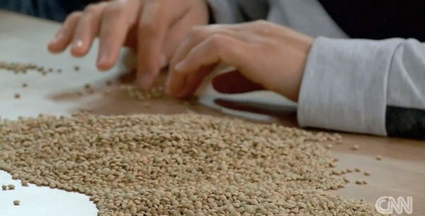 Picture 7 of Casserole seed pit under the Arctic ice