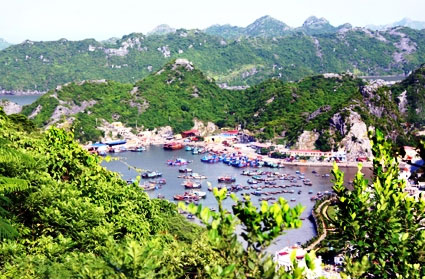 Picture 1 of Cat Ba biosphere reserve area is
