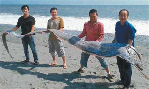 Picture 1 of Catch living giant paddle fish in Taiwan