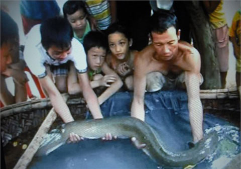 Picture 1 of Catch the chunk 'terrible' in Ha Tinh