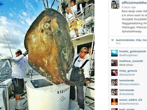 Picture 1 of Catch the 'monster fish' 362kg