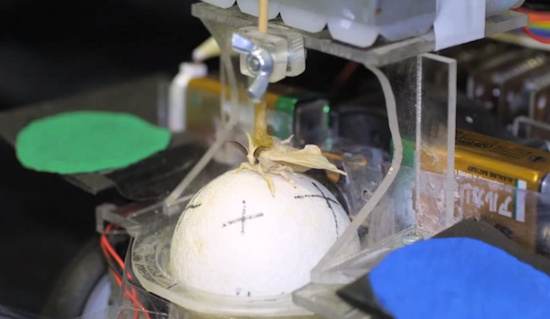 Picture 1 of Caterpillars control robots