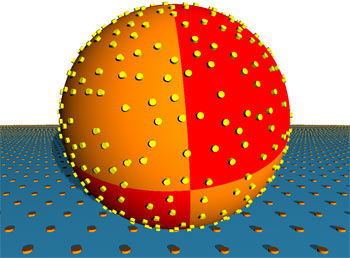 Picture 1 of Cell adhesion in blood vessel walls.