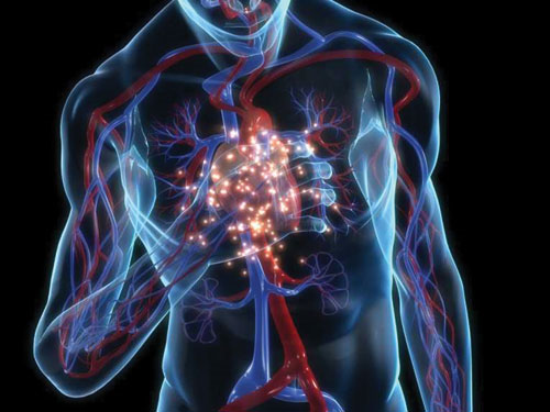 Picture 1 of Cell reprogramming