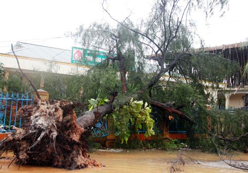 Picture 3 of Central Vietnam dissipated after the storm