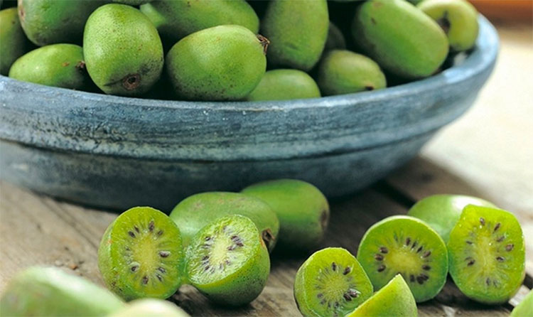 Picture 1 of Certainly 9 out of 10 people will be wrong to just look at this fruit's appearance!