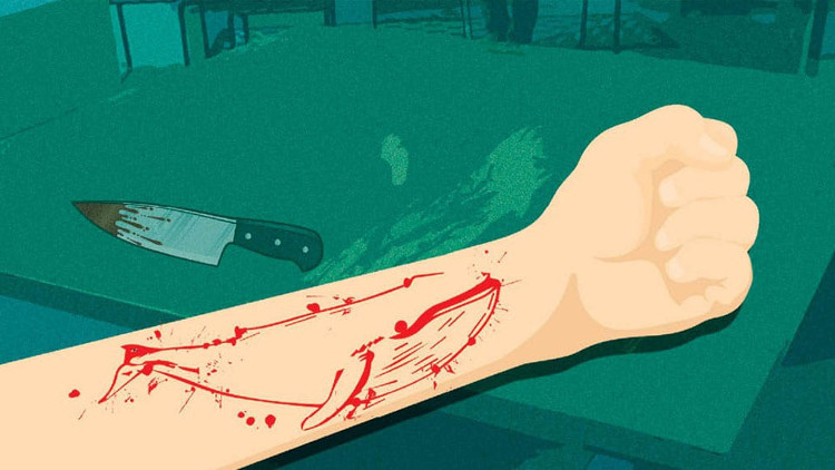 Picture 2 of 'Challenge the blue whale' - why is it only because of a game that someone is willing to commit suicide?