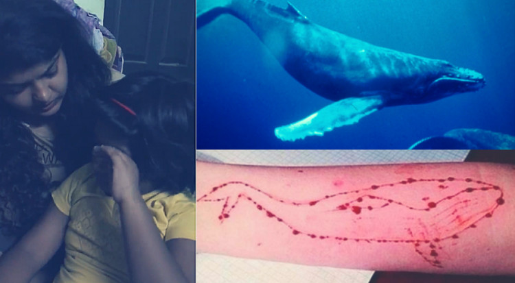 Picture 3 of 'Challenge the blue whale' - why is it only because of a game that someone is willing to commit suicide?
