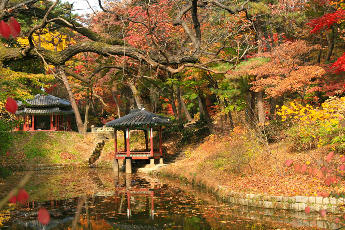 Picture 5 of Changdeokgung Palace