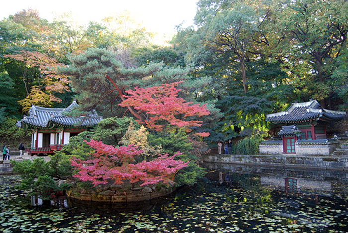 Picture 8 of Changdeokgung Palace