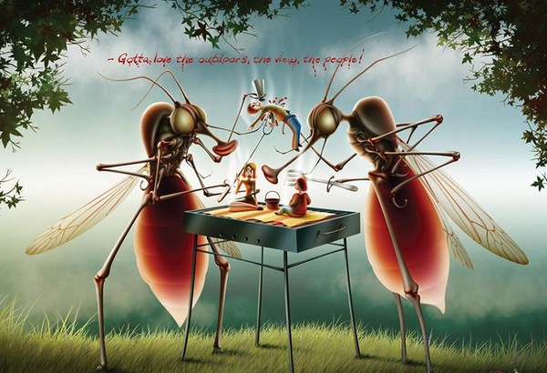 Picture 1 of Change the sex of the mosquito