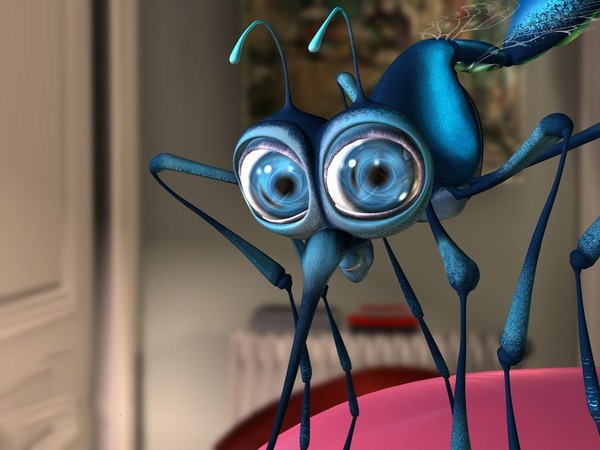 Picture 2 of Change the sex of the mosquito