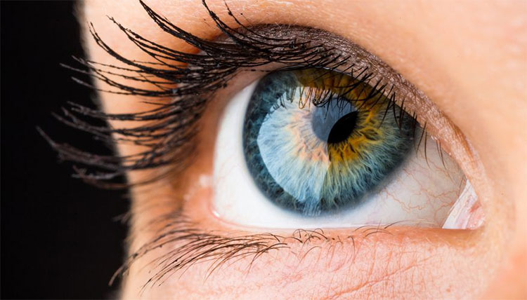 Picture 3 of Characteristics show that humans are the most 'unique' creatures on the planet