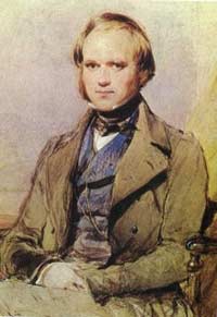 Picture 5 of Charles Darwin and the Works' The Origin of Categories