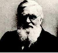 Picture 6 of Charles Darwin and the Works' The Origin of Categories