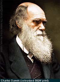 Picture 7 of Charles Darwin and the Works' The Origin of Categories