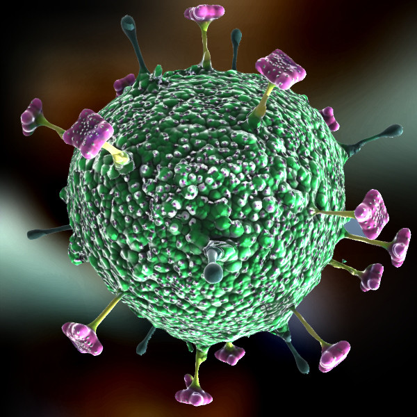 Picture 5 of Check out the most dangerous viruses on the planet