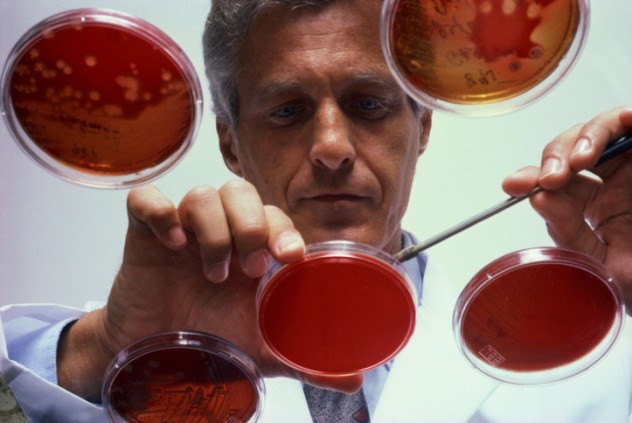 Picture 6 of Check out the types of polar bacteria that are beneficial to humans