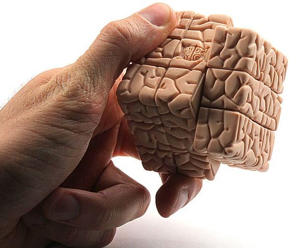 Picture 8 of Check the 'brain deviation' that we didn't expect