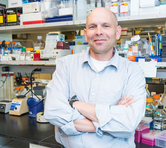 Picture 1 of Chemotherapy increases the spread of cancer cells?