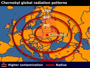 Picture 1 of Chernobyl disaster - 20 years look back