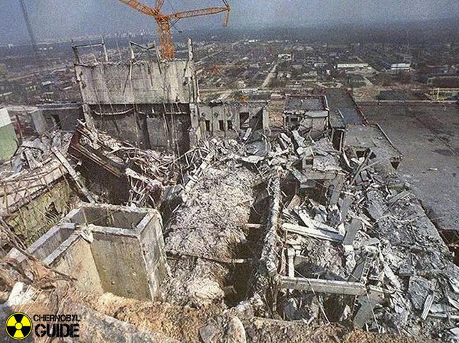 Picture 1 of Chernobyl is a human disaster, but good news for animals here