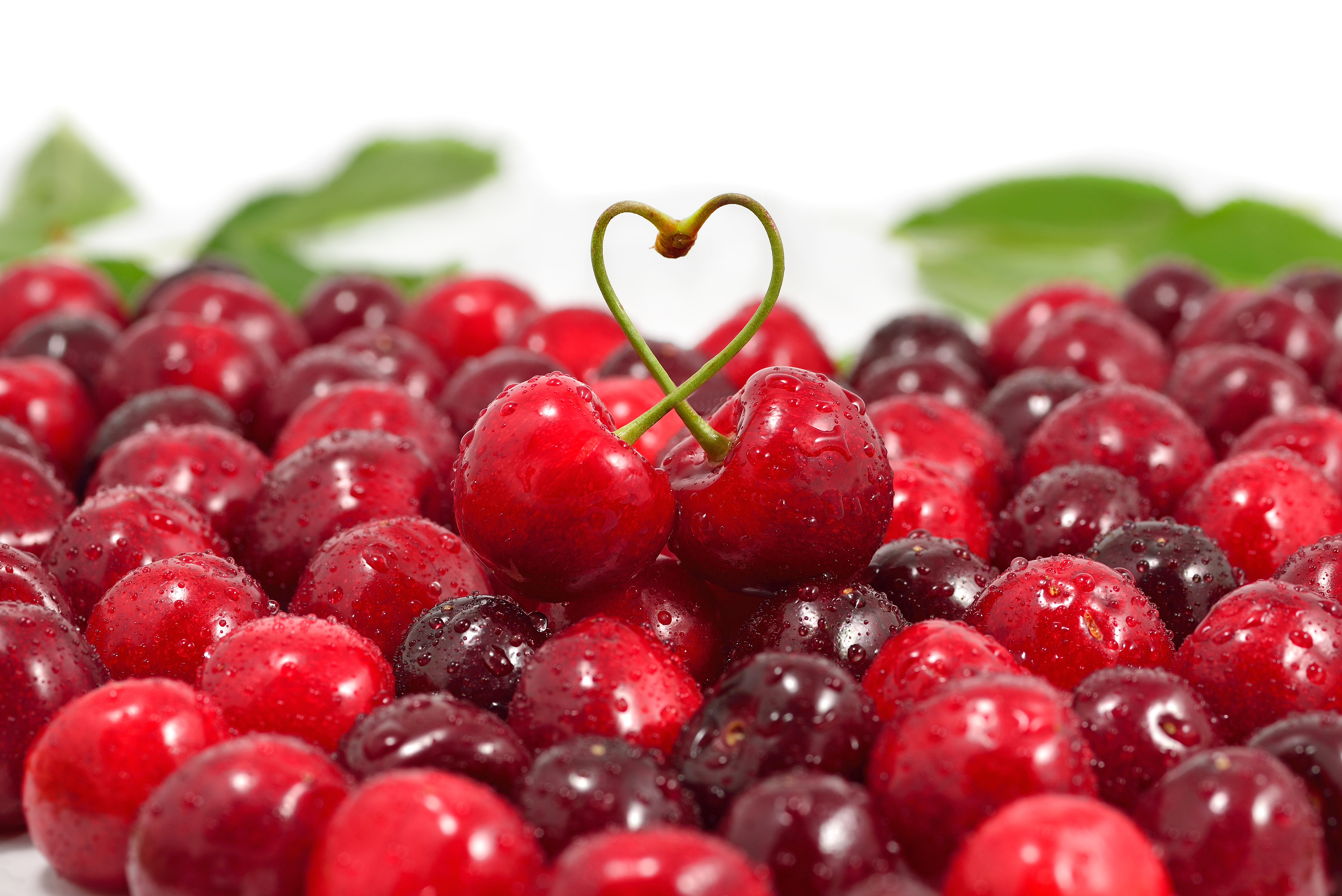 Picture 5 of Cherry and the benefits you may not know yet