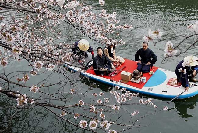Picture 5 of Cherry blossom season flourishes in Japan through ecstatic beautiful pictures