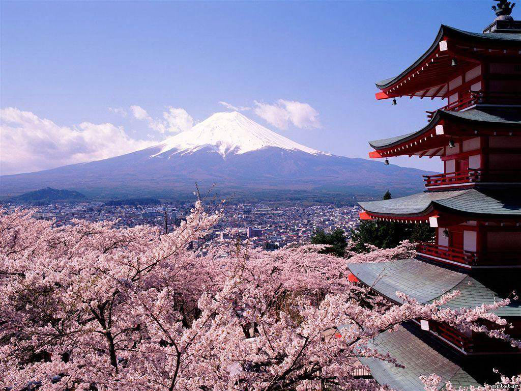 Picture 21 of Cherry blossoms make you want to go to Japan immediately