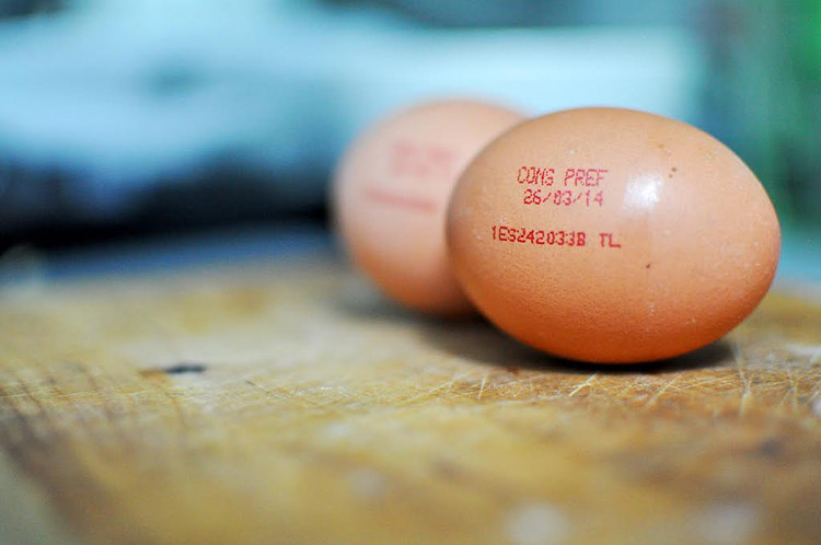 Picture 3 of Chicken eggs also have identity cards, you know?