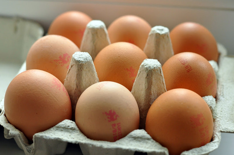 Picture 4 of Chicken eggs also have identity cards, you know?