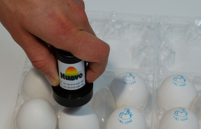 Picture 5 of Chicken eggs also have identity cards, you know?