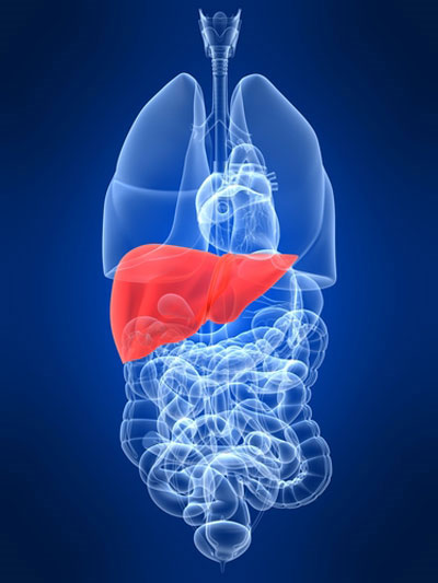 Picture 1 of 'Chiêu' new treatment for liver cancer