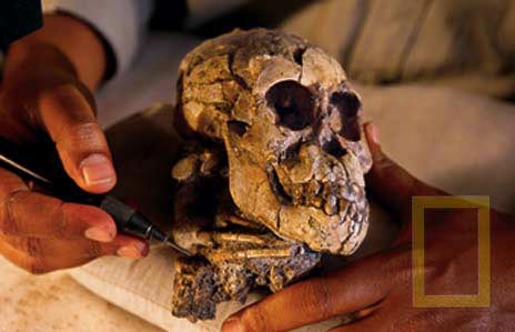 Picture 3 of Child 3 million years old