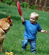 Picture 1 of Children are often bitten by dogs because of ... disorder