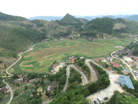 Picture 1 of Chile supports Vietnam in growing gold food