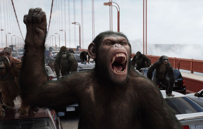 Picture 1 of Chimpanzees are so clever now ... know how to play