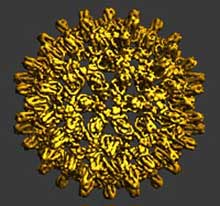 Picture 1 of China: 120 million people infected with the hepatitis B virus