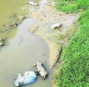 Picture 1 of China admits toxic chemical scandal