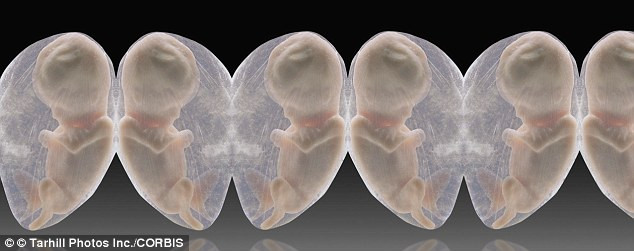 Picture 2 of China claims to possess human cloning technology