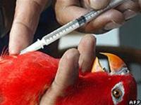 Picture 1 of China detected new cases of bird flu