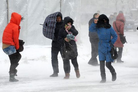 Picture 4 of China fights snowstorms