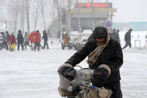 Picture 5 of China fights snowstorms