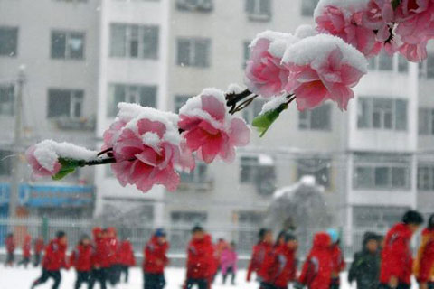 Picture 9 of China fights snowstorms