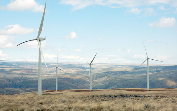 Picture 1 of China focuses on green growth
