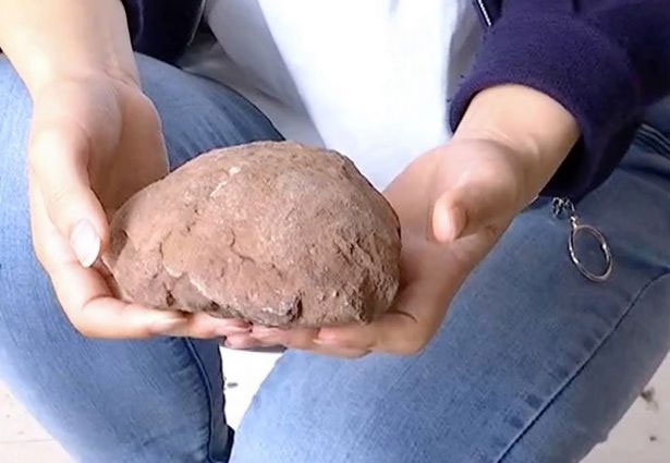 Picture 1 of China: Going for a walk, stumbling across a 66 million year old dinosaur egg